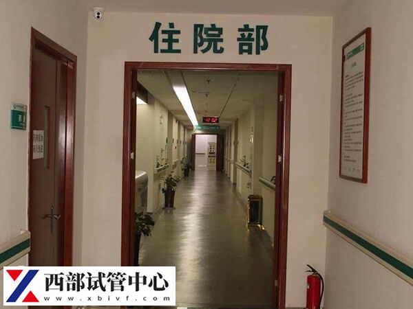 重慶新橋醫院試管技術如何
