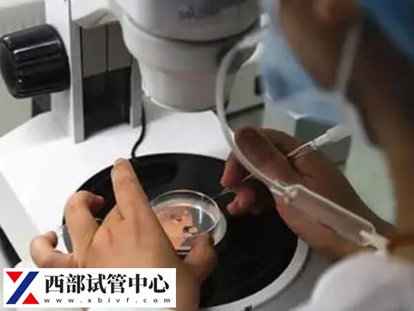 嵌合體百分之30的胚胎能不能做試管移植