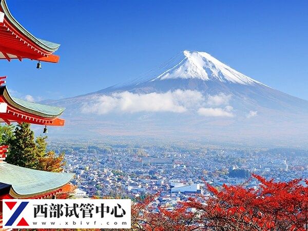 日本試管嬰兒收費(fèi)并不貴