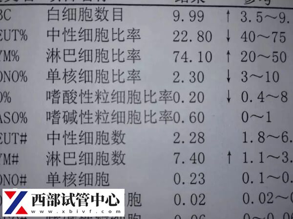 華西二院試管要經歷哪些階段