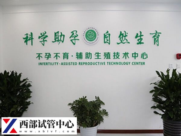 避免試管嬰兒胎停的辦法