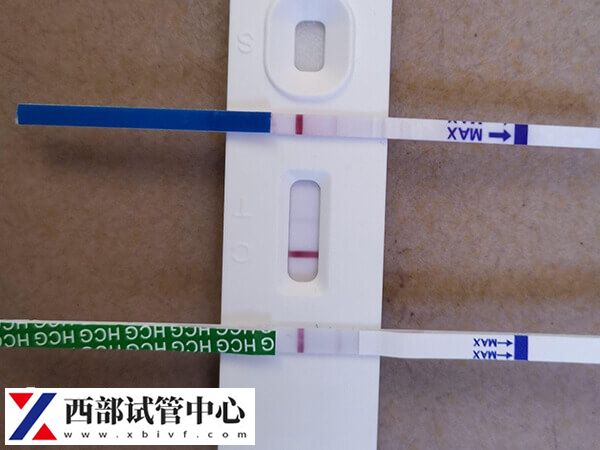 試管生化跟不著床有什么區(qū)別