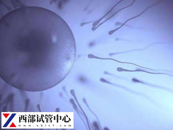 做供卵試管必須要有相關(guān)證件