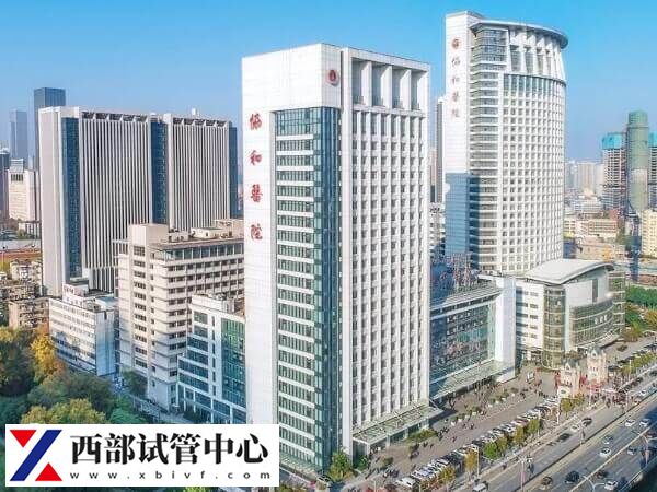 試管技術有哪些