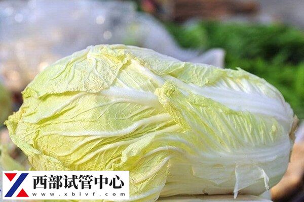 高齡試管吃什么好