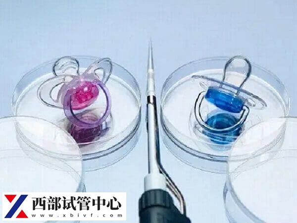 做試管前要對身體進行全面的檢查