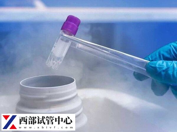 促排卵是冷凍卵子的流程之一