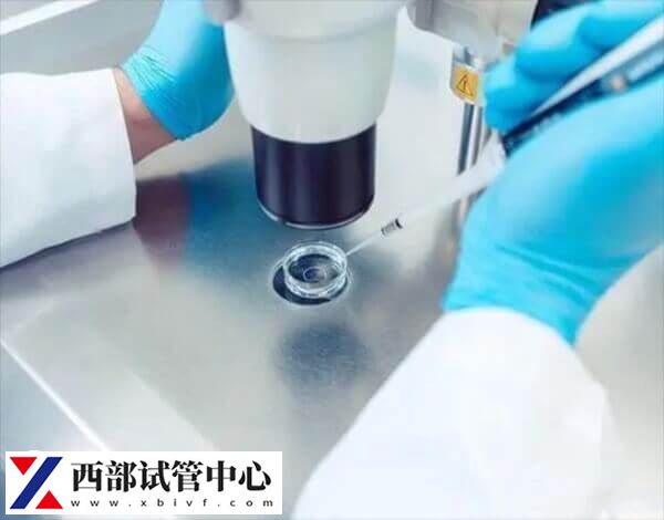 三代試管嬰兒需要對胚胎進行篩查