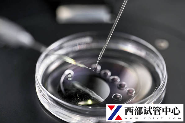 備孕多久不懷孕可以做試管嬰兒