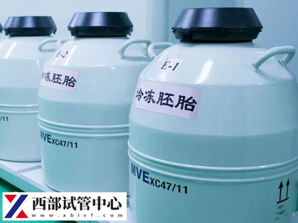 凍胚解凍后升級(jí)說明質(zhì)量好