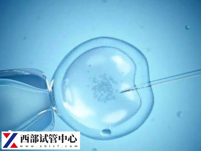 試管移植是現代醫學技術的一項重要成果