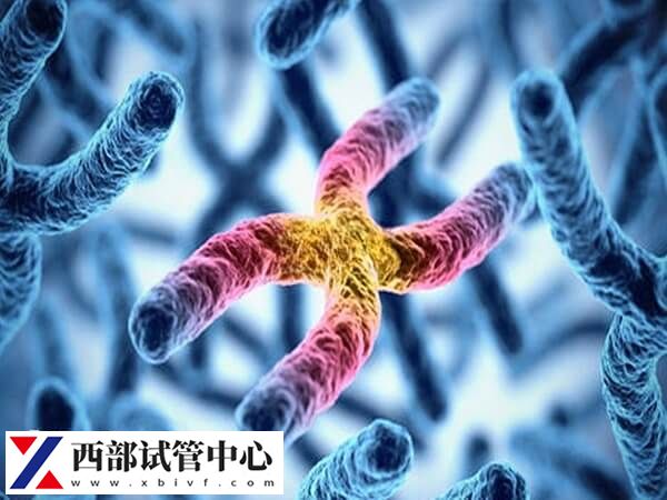 平衡易位可能會導致無精癥