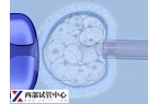 三級胚胎養囊好還是冷凍好快瞧，對比好處和