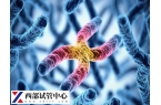 平衡易位會(huì)不會(huì)導(dǎo)致無精癥